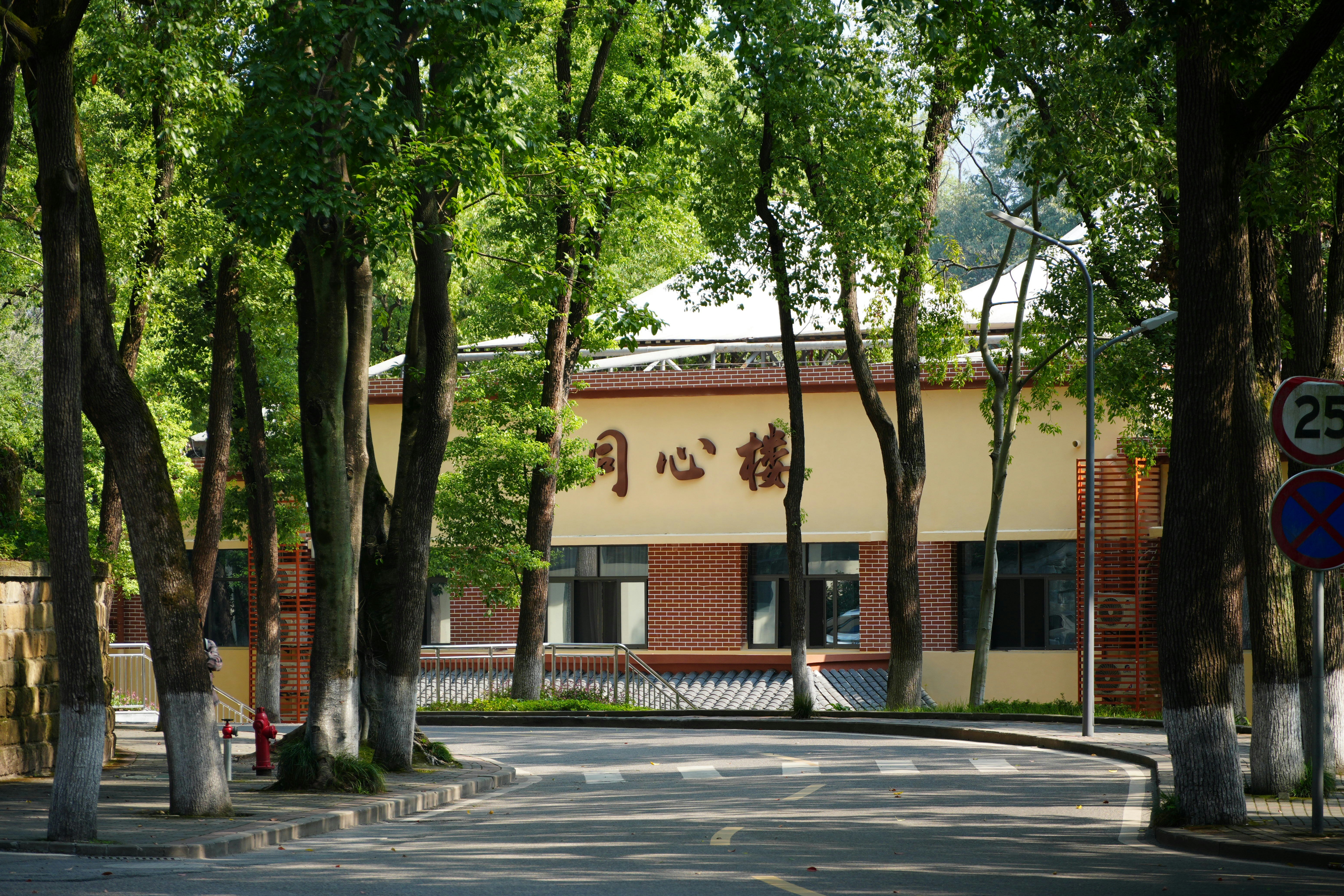 A street with trees and a building in the background